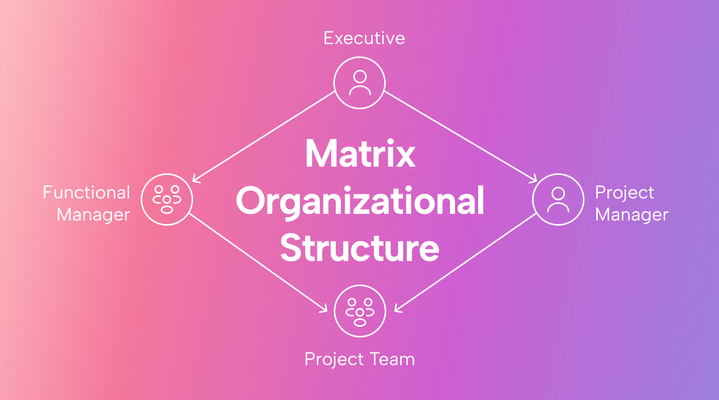 Matrixed Organization: What It Is (and How to Make It Work)