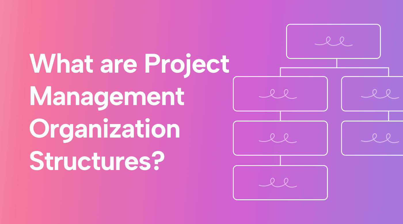 What Are Project Management Organization Structures?