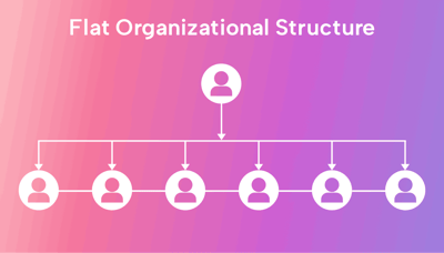 What Is a Flat Organizational Structure? (Pros, Cons, Tips, and FAQs)